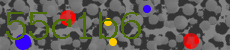 55c1b6
